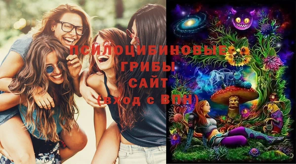 дурь Медногорск
